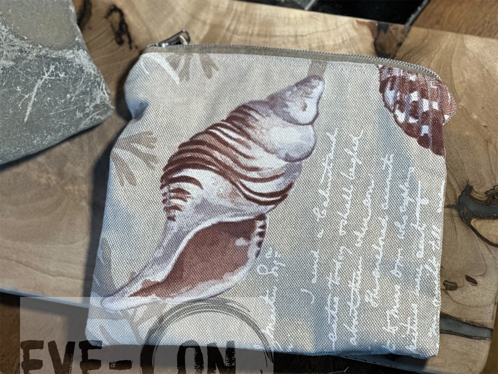 4036 Muscheln