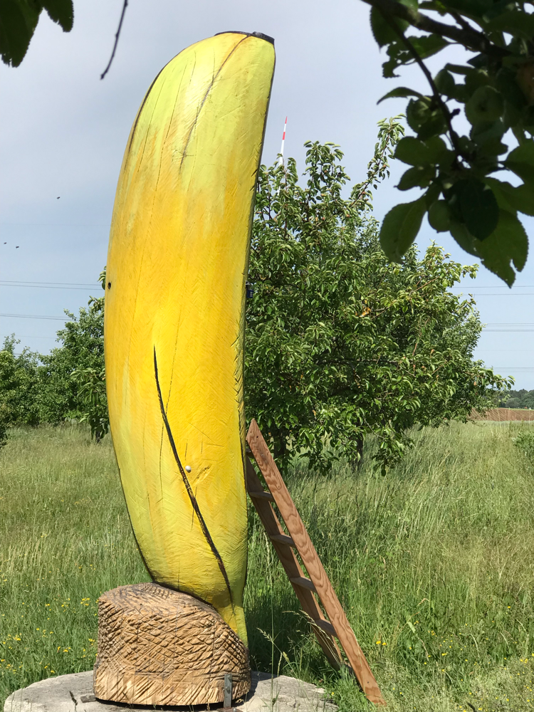 Bienen Banane Buchschwabach