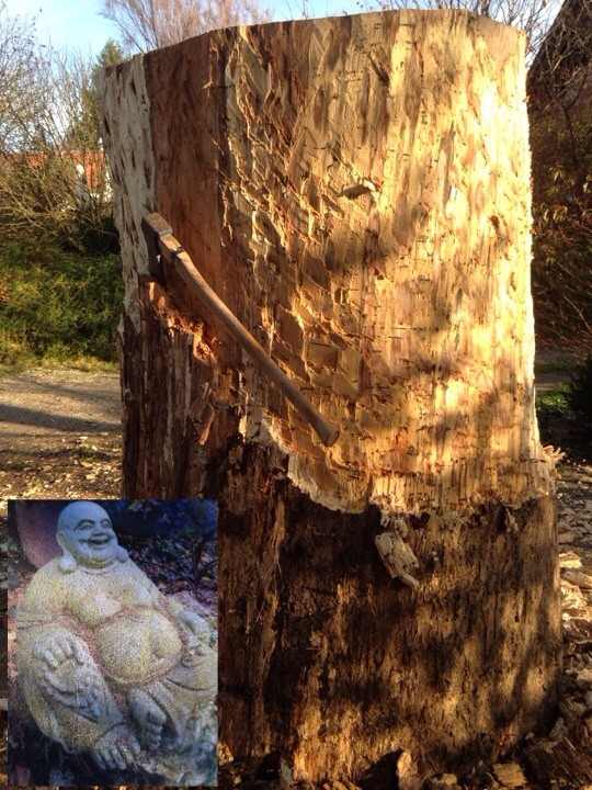 Neuer Baum für Buddha Bienen