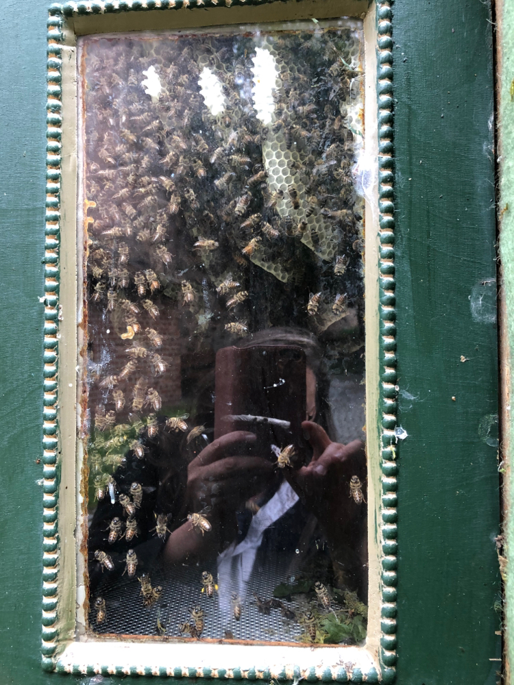 Durch des Fenster der Figutenbeute