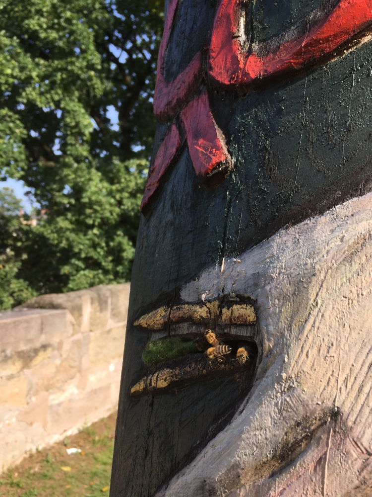 Zeidler-Bienen am Start