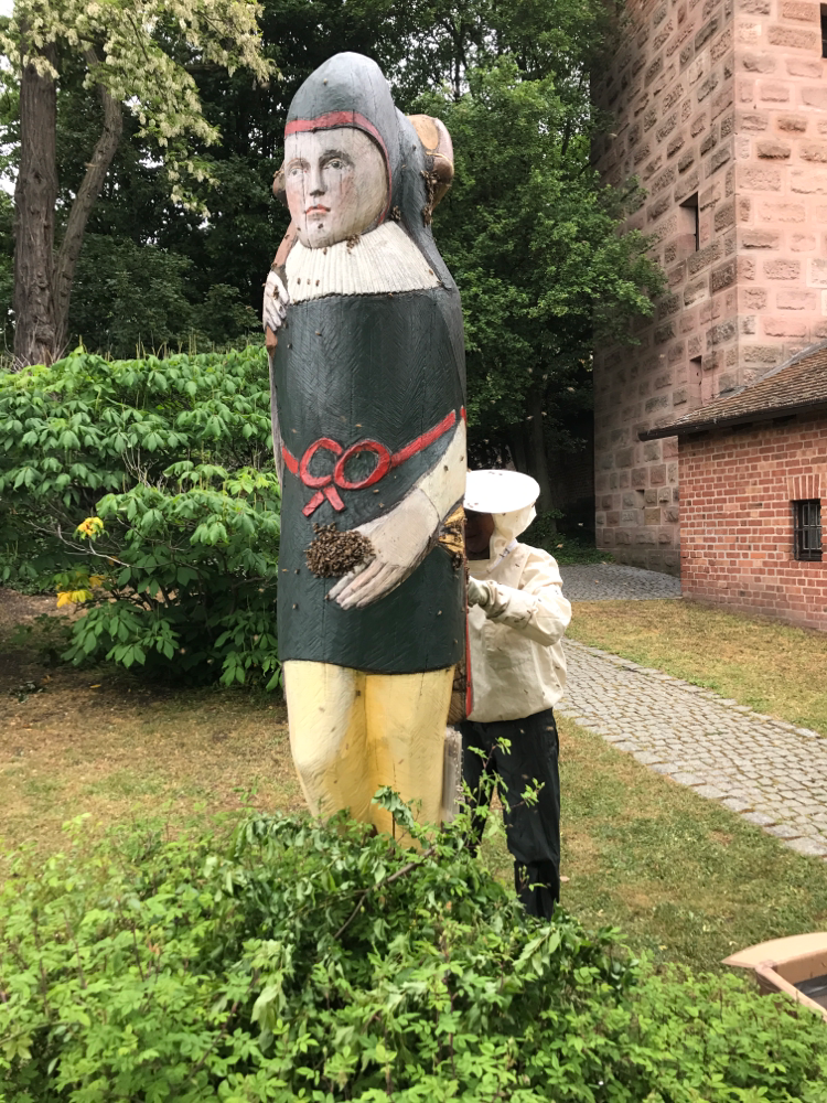 Nürnberger Burg Zeidler mit Schwarm