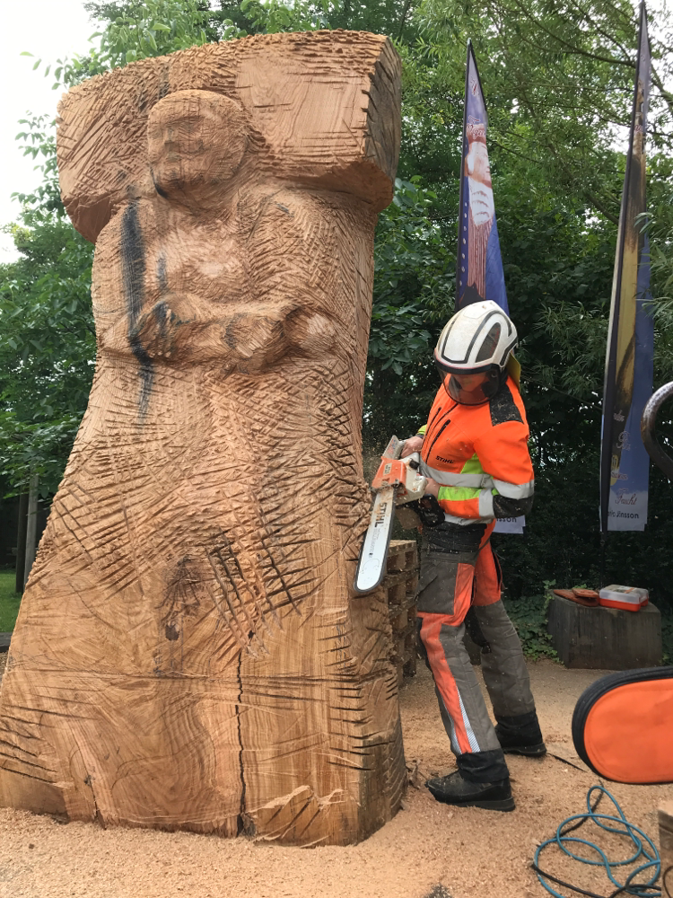 Stihl MSE 220 C macht‘s