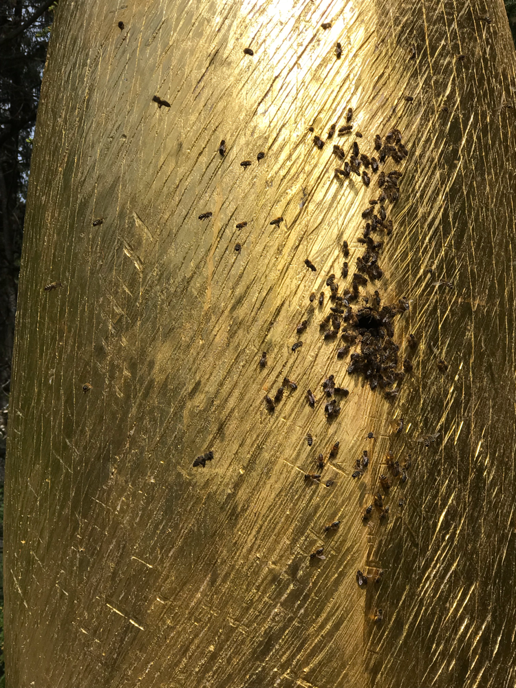 Golden Bee