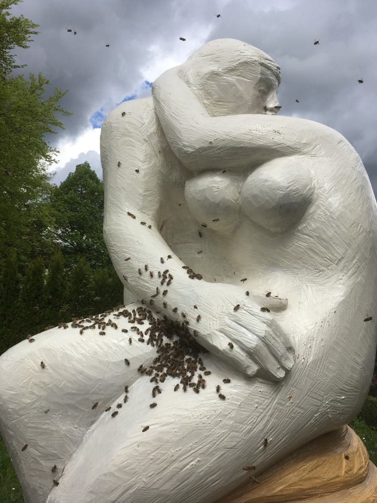 Der Kuss für Bienen frisch besetzt
