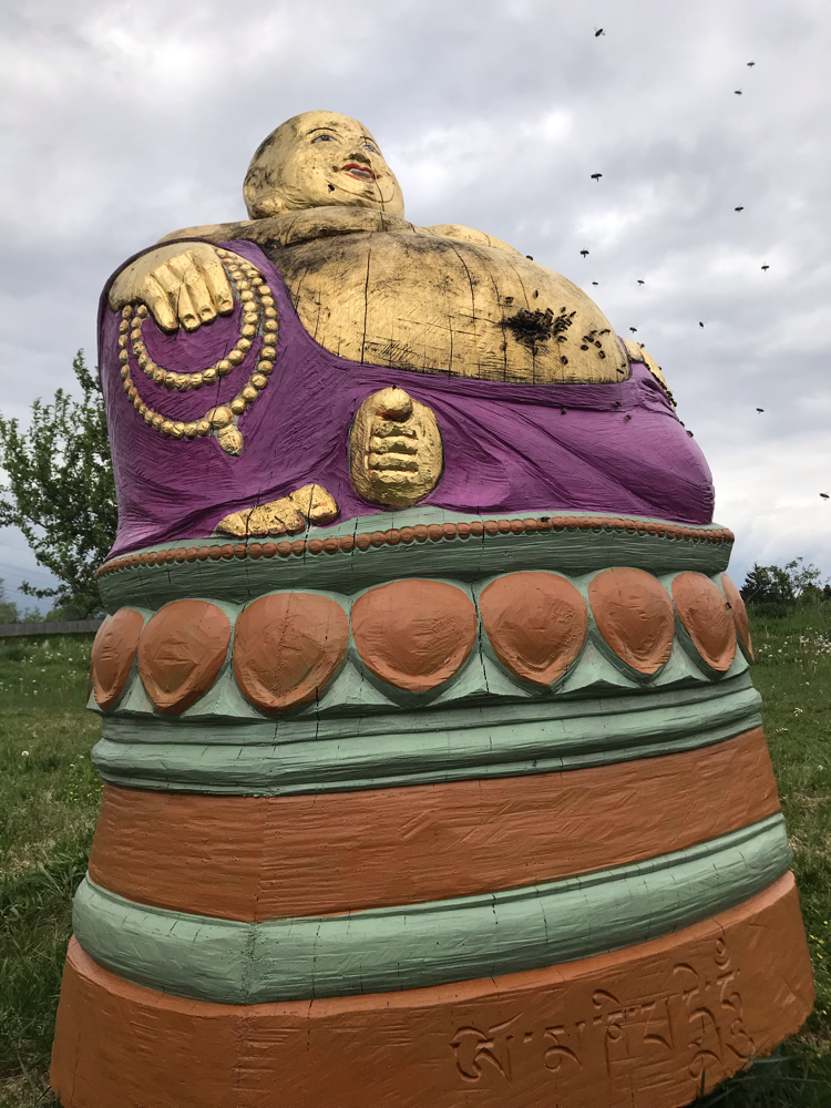 Die Bienen beim Einzug in den Golden Buddha