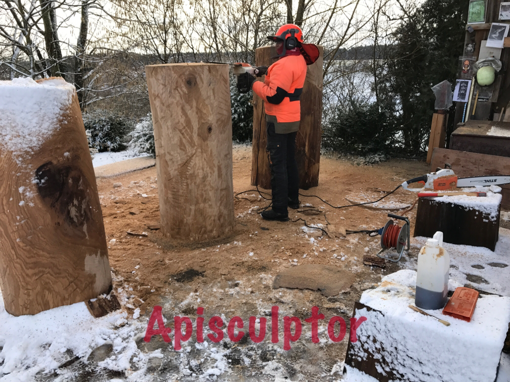 Winter snow carving for bees