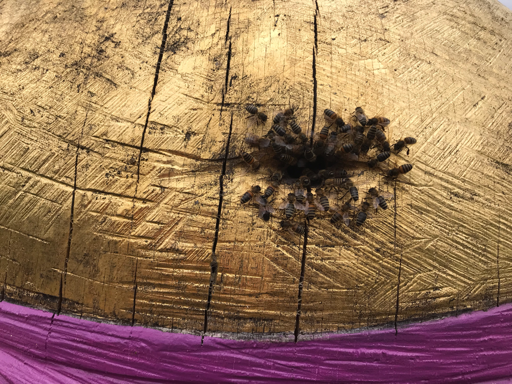 Prall gefüllt, der Bauch des Bienen Buddhas