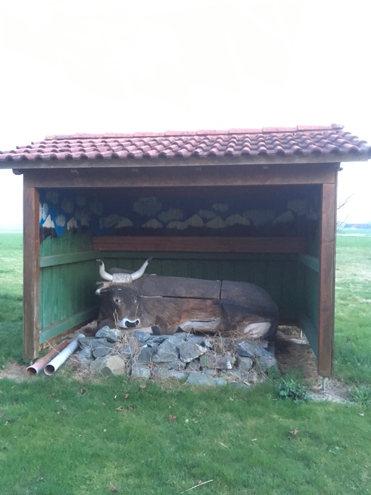 Die Allgäuer Kuh, Gossmannshofen bei Memmingen