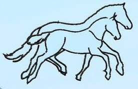 ponyzucht-steinhofs Webseite!