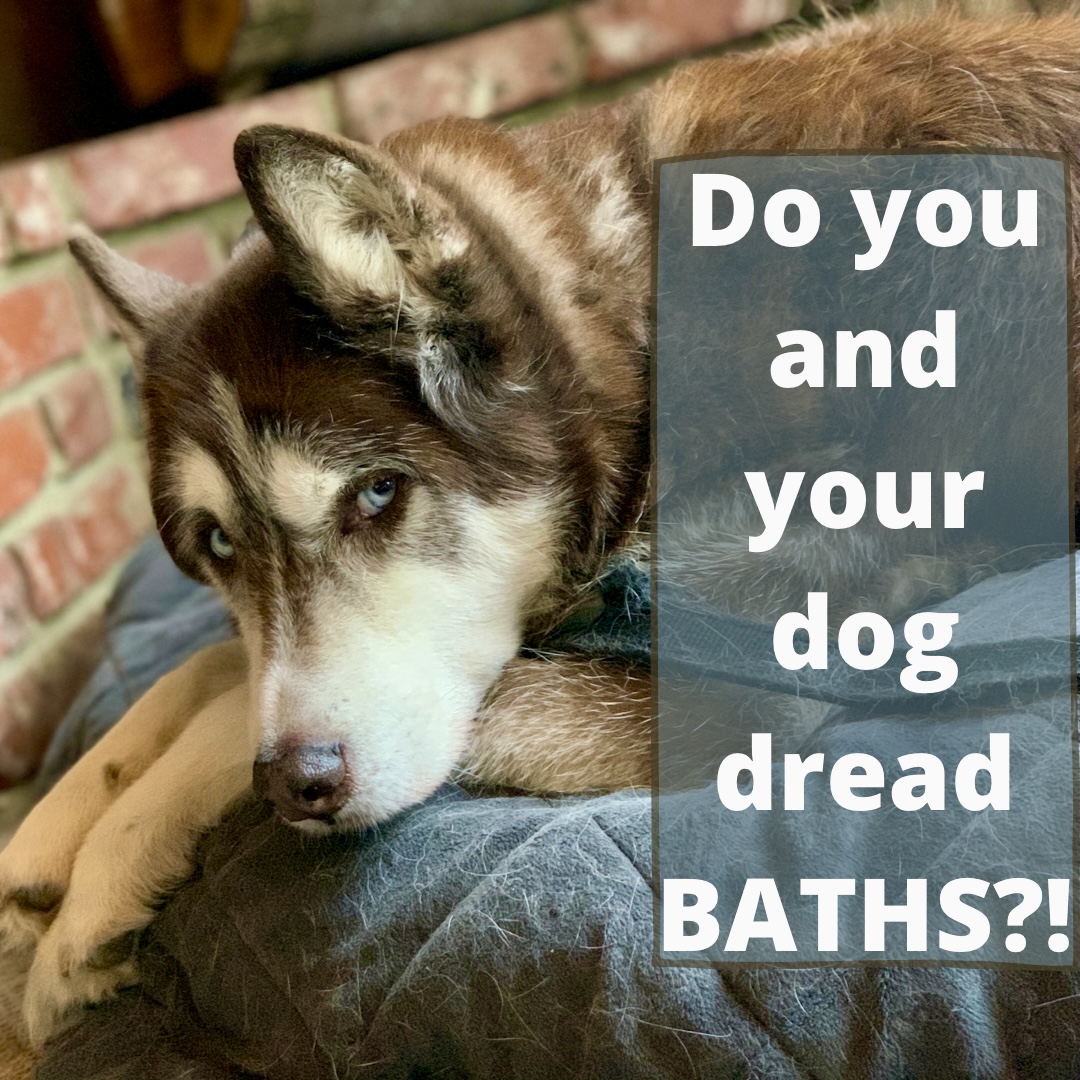 Your dog hate baths?  