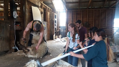 乗馬、搾乳農場に行ってきました