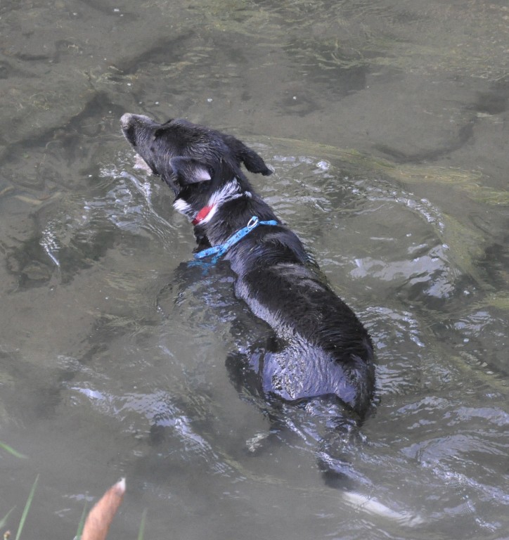 Kann man Wasser auch abbeissen? :D :D ;-)