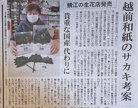 新聞社取材、記事公開