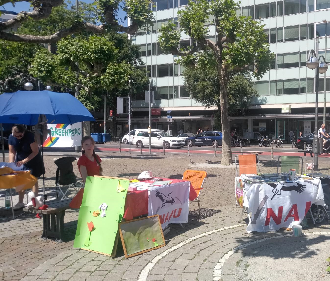NAJU: Geburtstagsfeier des Grundgesetzes auf Paulsplatz