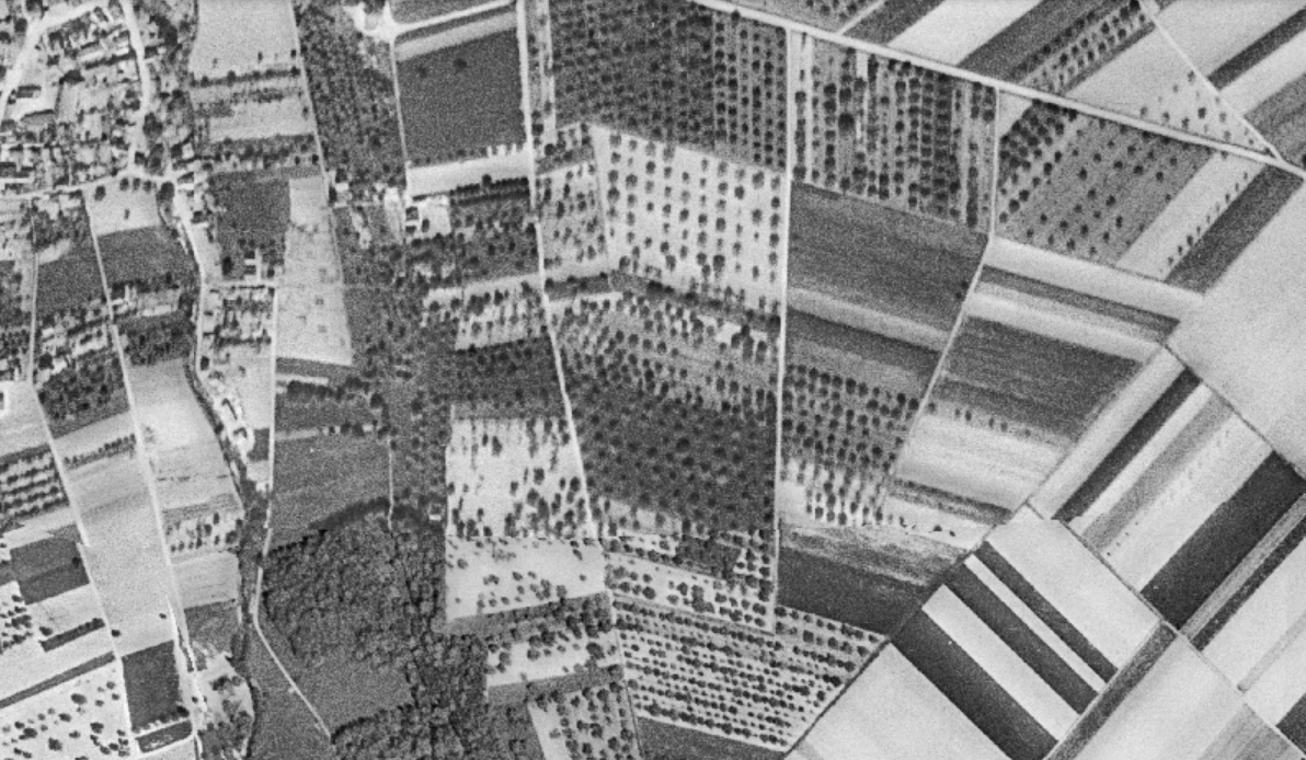 Streuobstwiesen östlich Nieder-Eschbach um 1960