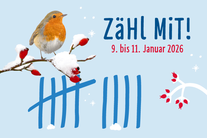 Stunde der Wintervögel 2026