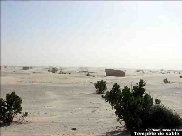 Tempête de sable dans le désert (Mauritanie)
