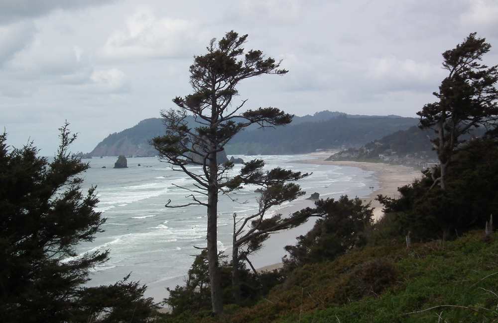 2011 Pacific Coast