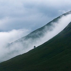 Highlands, Fog & Mist in the Highlands, Scotland, United Kingdom