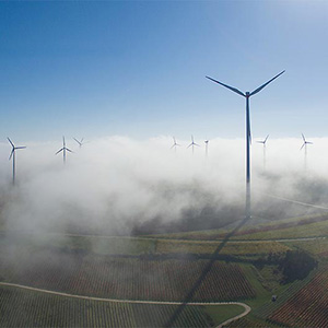 Wind Energy with Morning Fog and Autumn Colored Wine Plants, Germany, Europe