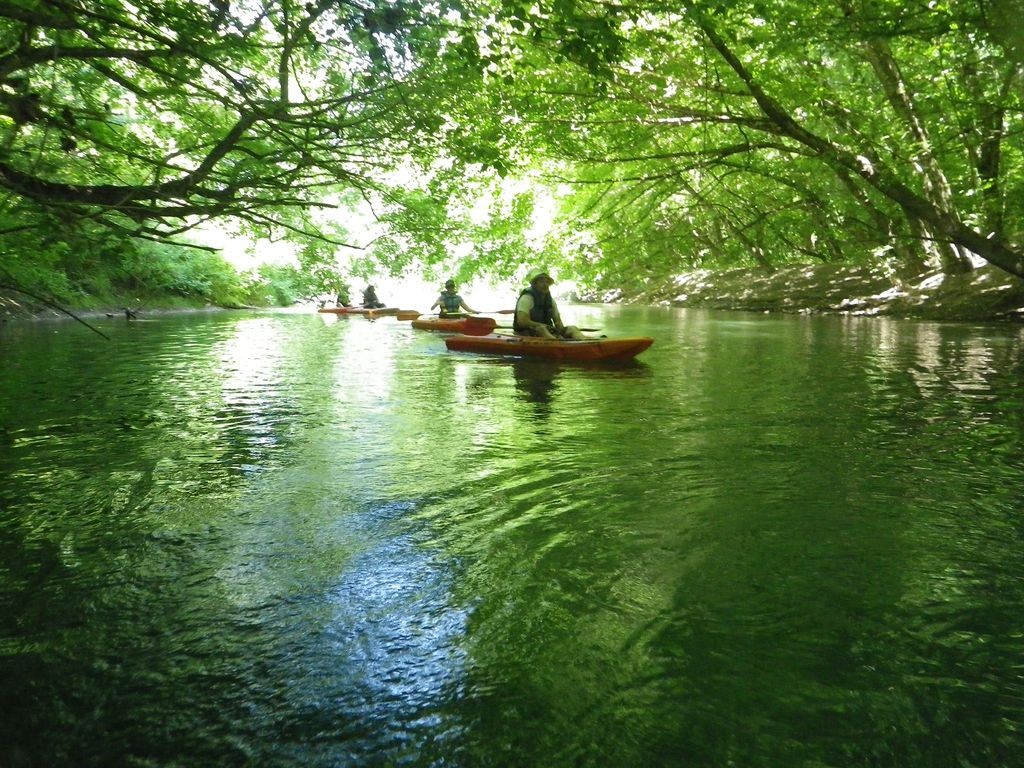 Fleuves & Rivières... On se met au vert !