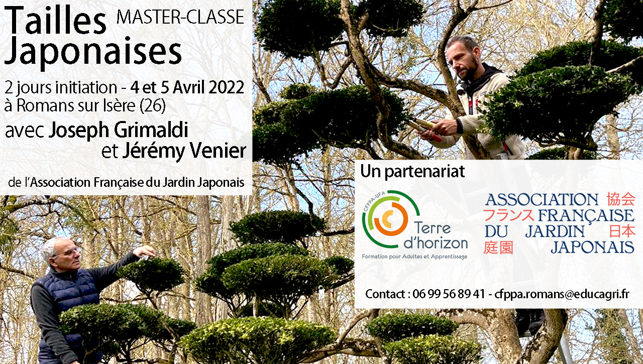 Master Classe "TAILLES JAPONAISES"