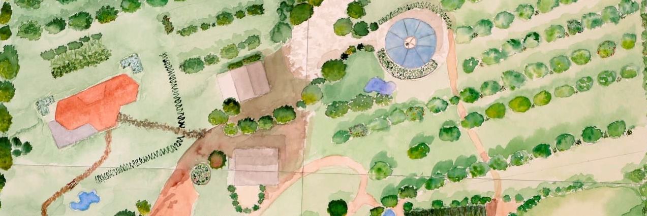 Initiation à la permaculture et animations 2025