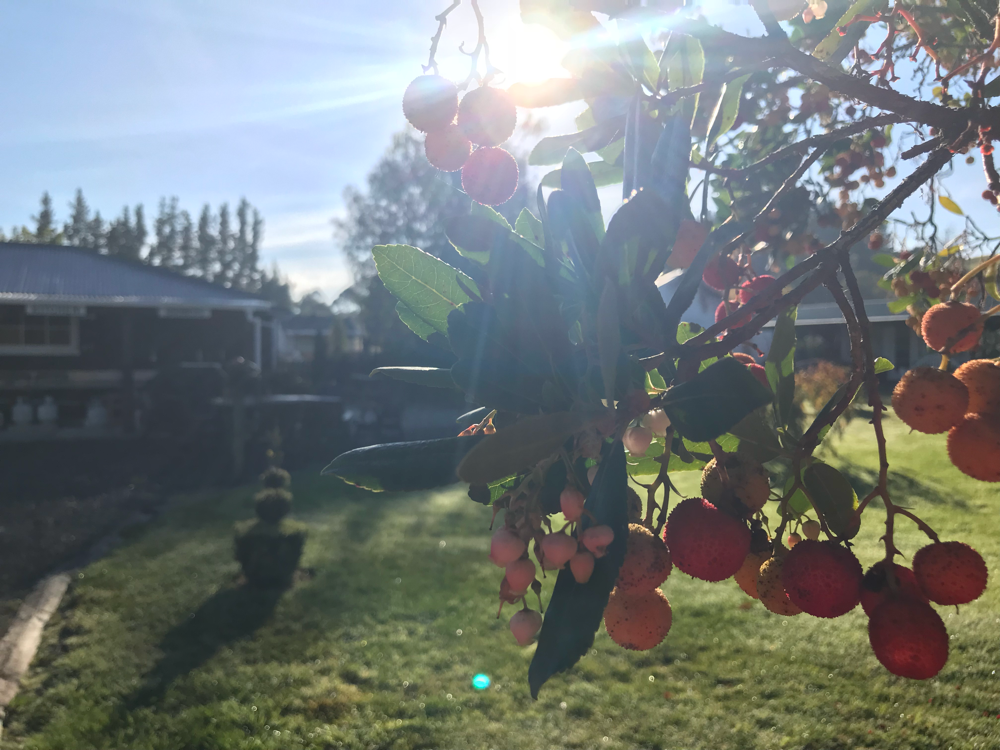 Sonnenschein nach unserer ersten kalten Nacht