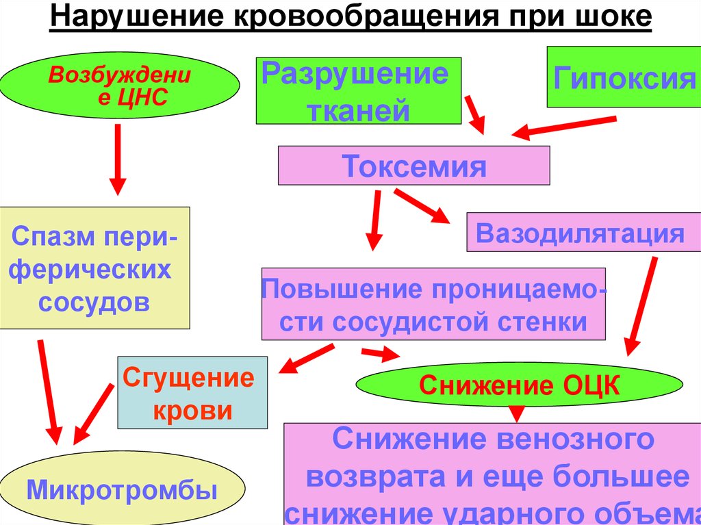 Нарушение кровообращения тесты. Нарушение кровообращения тесты