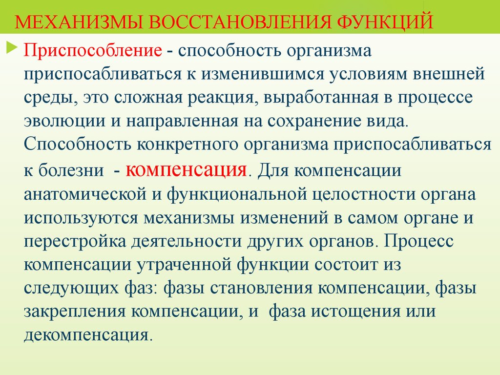 Компенсаторная регенерация. Стадии компенсаторно-приспособительных процессов. Стадии компенсаторного процесса. Компенсаторная регенерация. Компенсаторная регенерация.