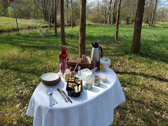 Kahnfahrt im Spreewald Picknickfahrt