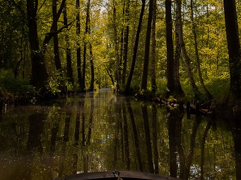 Kahnfahrt vom Kleinen Hafen in die Natur am Abend / Nacht