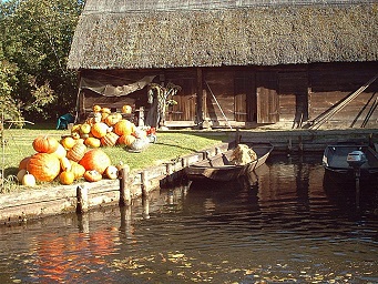 Kahnfahrten im Spreewald komplett