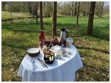 Picknick im Spreewald bei einer Kahnfahrt