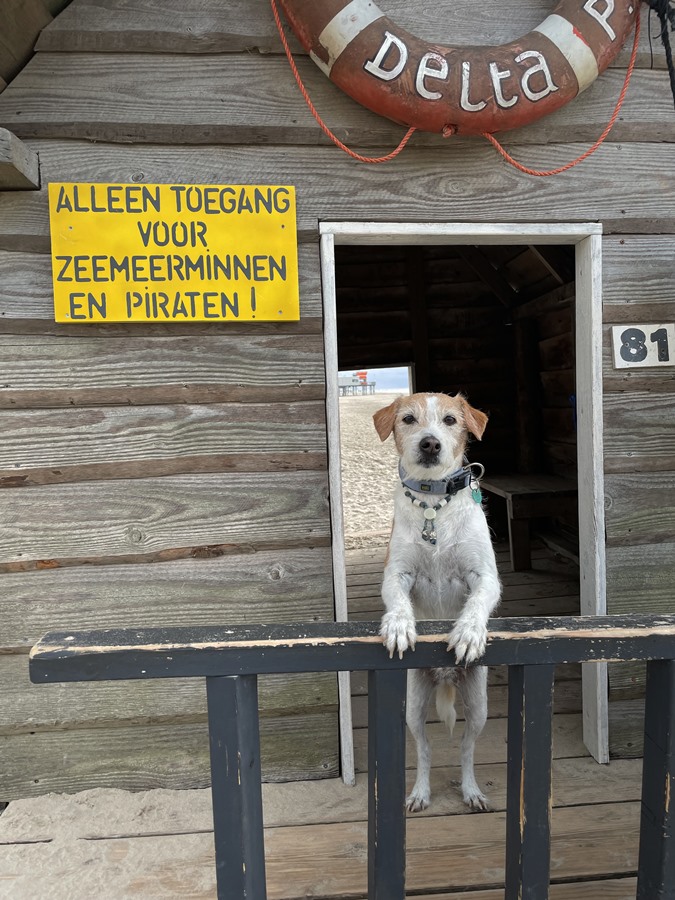 Brezel vom Flawenjupé