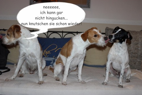 Brezel mit Brüderchen Bounce