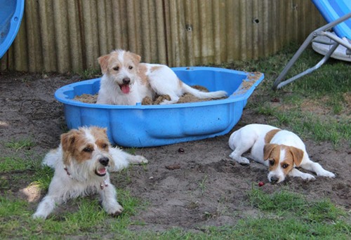 Cendo, Difrida und Ebba