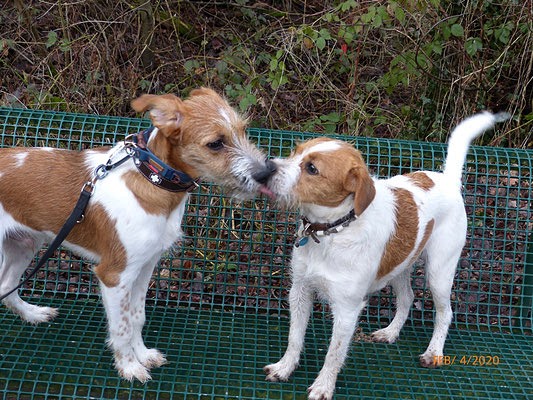 Marlo & Ebba