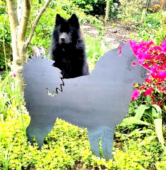 Bero mit dem Eurasier aus Stahl