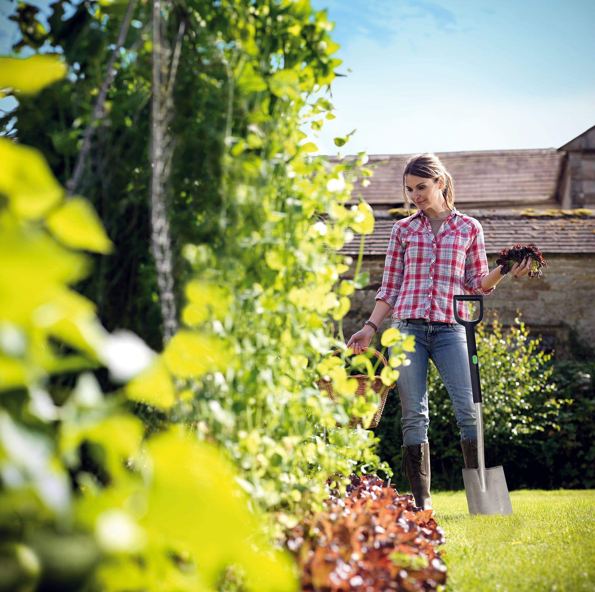 Freund Victoria Sécateur 2006 Lame Acier Carbone 21 Cm Jusqu 22 Mm Secateur De Branches Secateurs 38866984