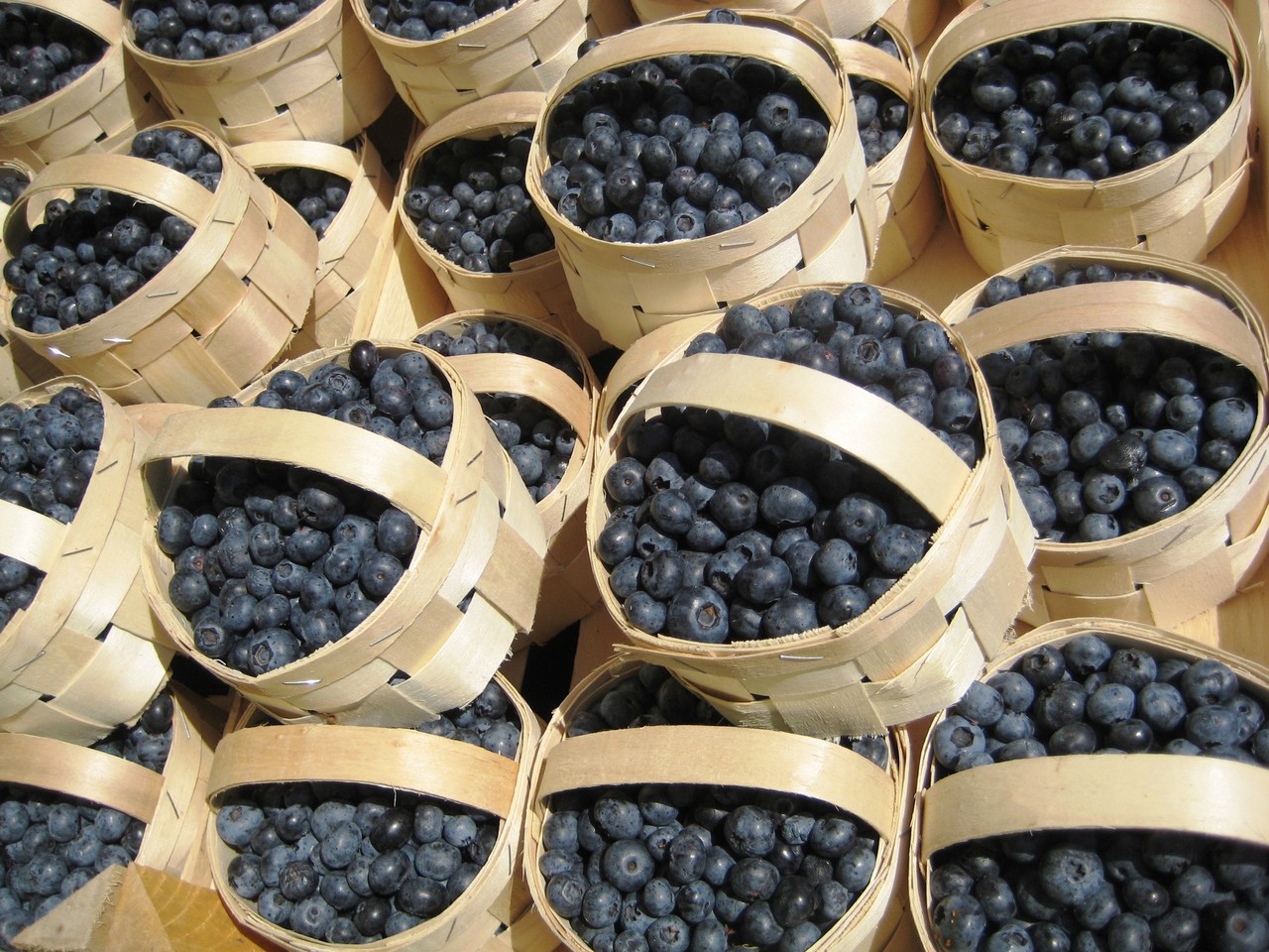 List of fruit International Fruit Day