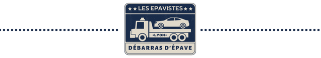 epaviste gratuit lyon rhone