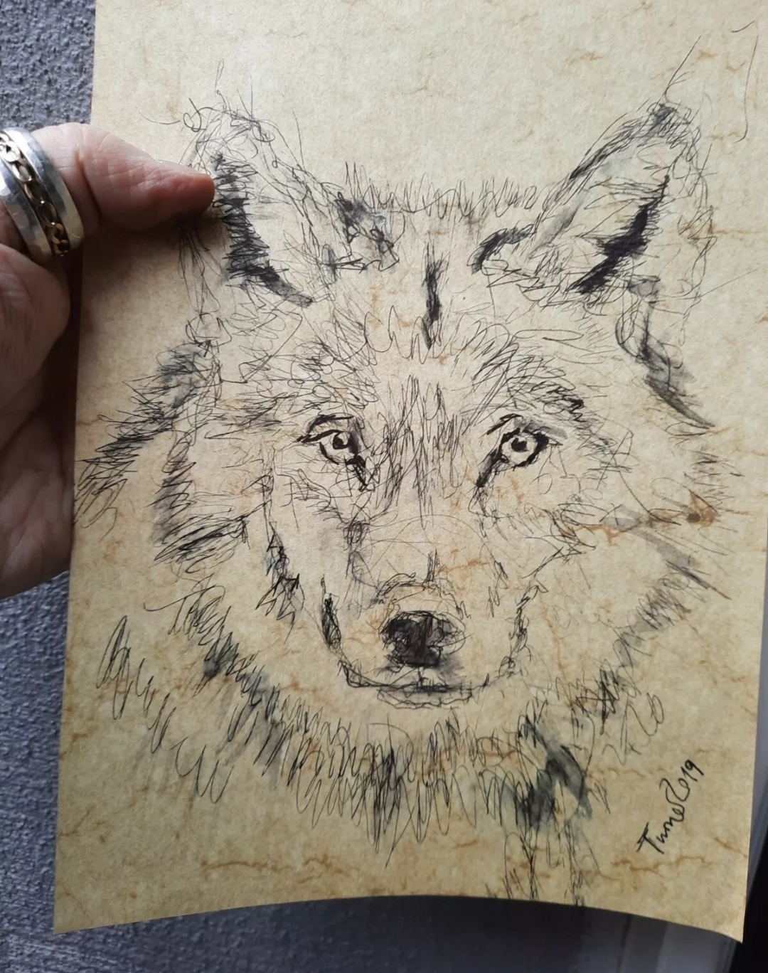 Wolf sketching inkl Tusche Tinte 2019
