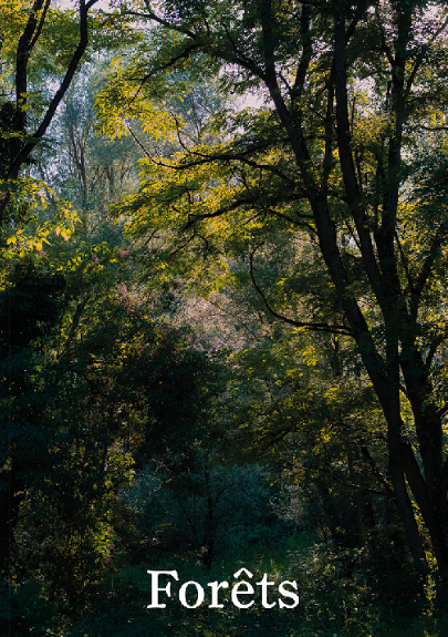 Avenir Forêt est mis en avant dans un numéro spécial forêt du magazine "La relève et la peste" sur les collectifs forestiers écologiques (CFE)