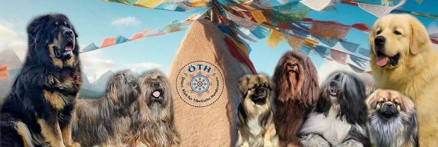 ÖTH Österr. Klub für Tibetische Hunderassen
