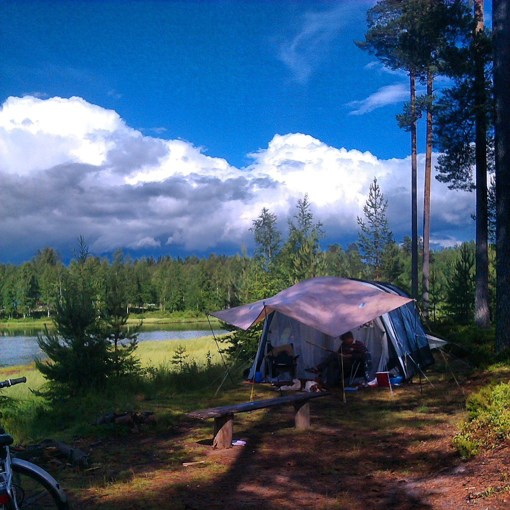 Camping Nya Skogsgården