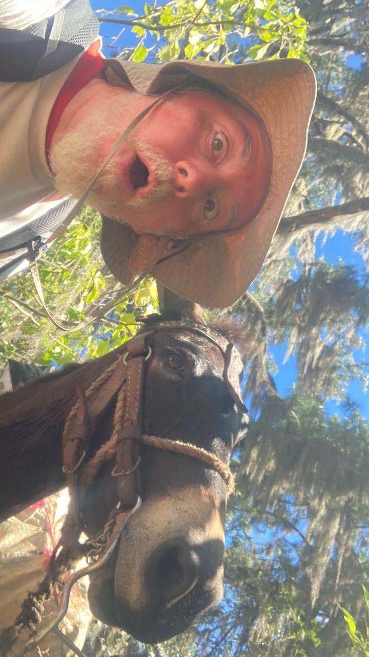 Stupid donkey
