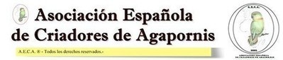 Asociación Española de Criadores de Agapornis (AECA)