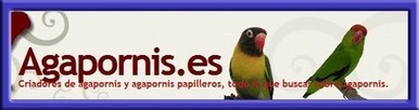 Agapornis.es